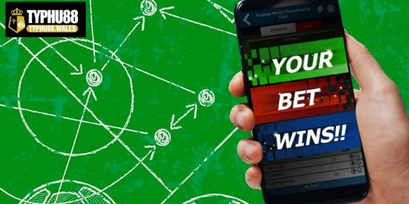 Dữ liệu phân tích kết quả trận cầu cực chuẩn