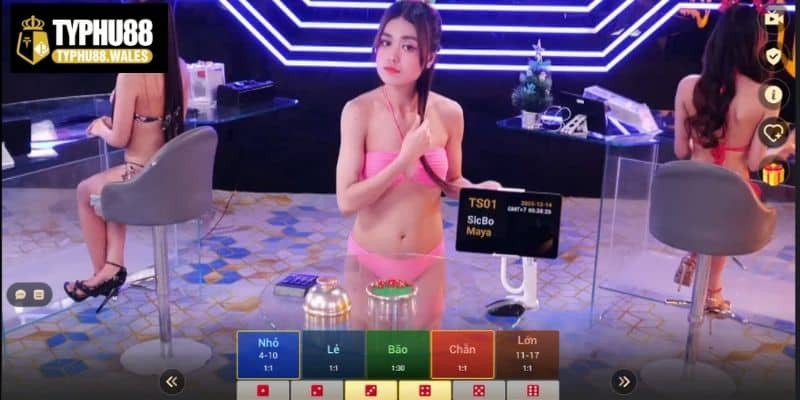 Giới thiệu trò chơi Tài xỉu online Typhu88